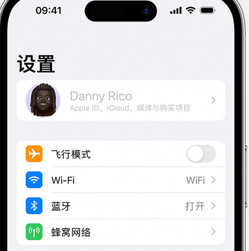 湾岭镇appleID维修服务iPhone设置中Apple ID显示为灰色无法使用