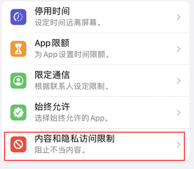 湾岭镇appleID维修服务iPhone设置中Apple ID显示为灰色无法使用