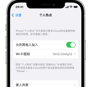 湾岭镇apple服务站点分享iPhone上个人热点丢失了怎么办 