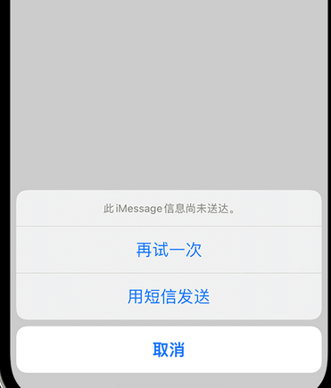 湾岭镇apple维修iPhone上无法正常发送iMessage信息