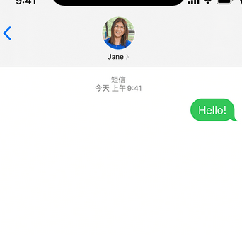 湾岭镇apple维修iPhone上无法正常发送iMessage信息