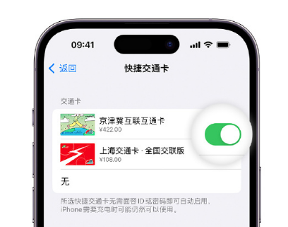 湾岭镇apple维修点分享iPhone上更换Apple Pay快捷交通卡手绘卡面 