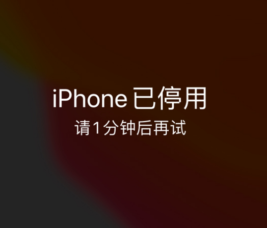 湾岭镇苹果手机维修分享:iPhone 显示“不可用”或“已停用”怎么办？还能保留数据吗？ 