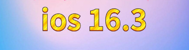 湾岭镇苹果服务网点分享苹果iOS16.3升级反馈汇总 