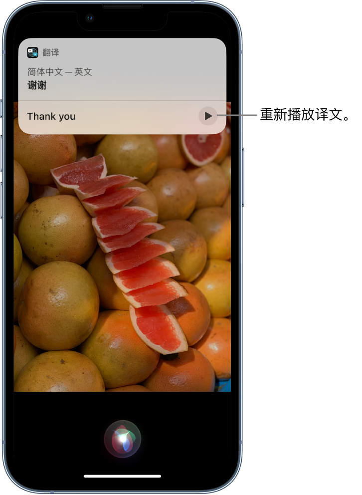 湾岭镇苹果14维修分享 iPhone 14 机型中使用 Siri：了解 Siri 能帮你做什么 