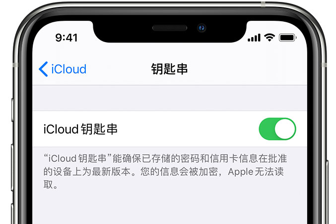 湾岭镇苹果手机维修分享在 iPhone 上开启 iCloud 钥匙串之后会储存哪些信息 